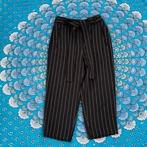 Aritzia Wilfred Tie Front Pant